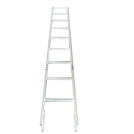 Andamio Gi Monkey Escalera doble multipolar